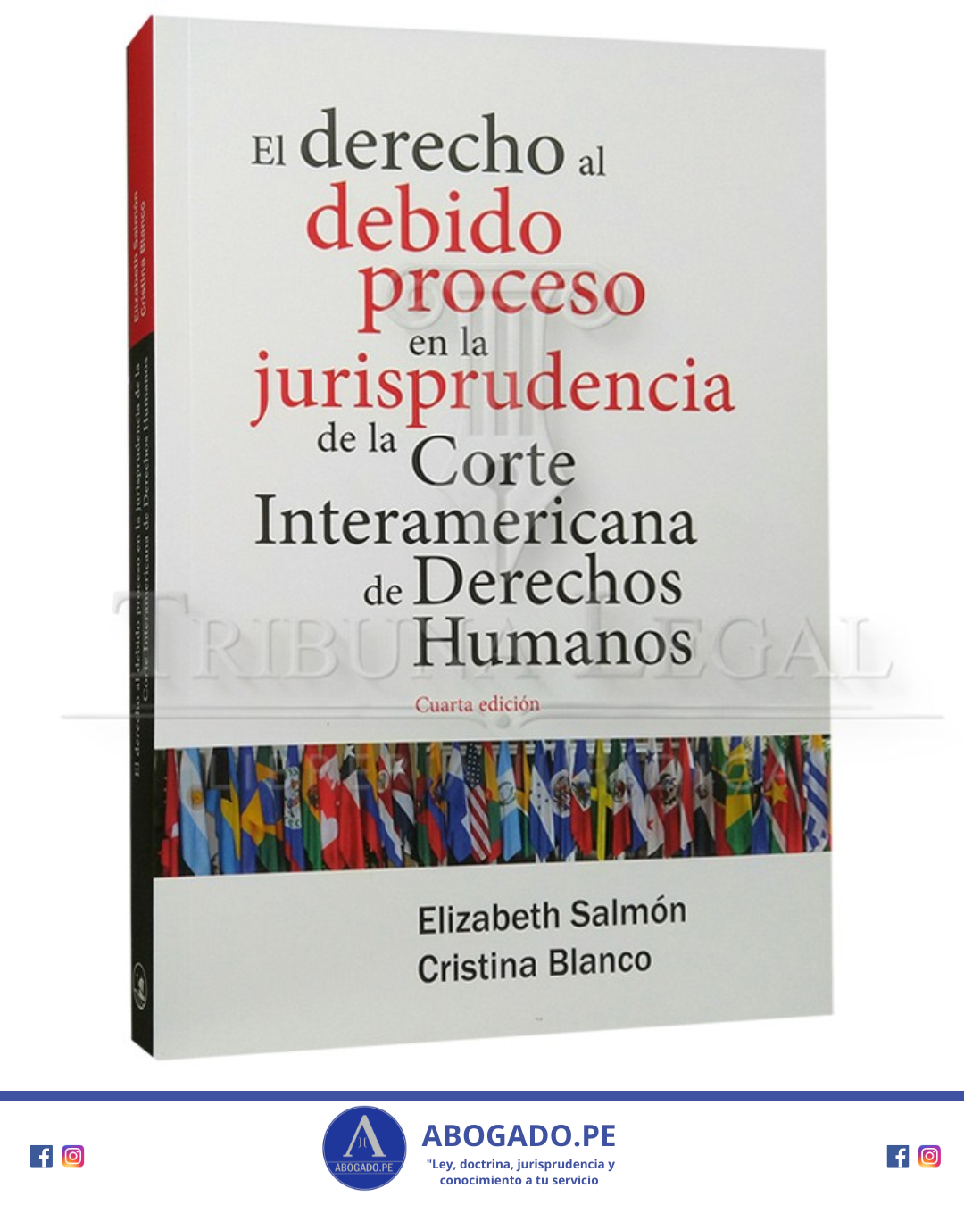 Libro El Derecho Al Debido Proceso En La Jurisprudencia De La Corte