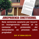 STC INCONGRUENCIA OMISIVA PROPIEDAD