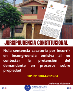 STC INCONGRUENCIA OMISIVA PROPIEDAD