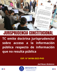 TC DOCTRINA INFORMACION PUBLICA